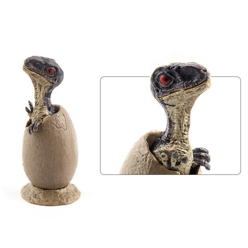 Hatching Dinosaur Kids' Toy