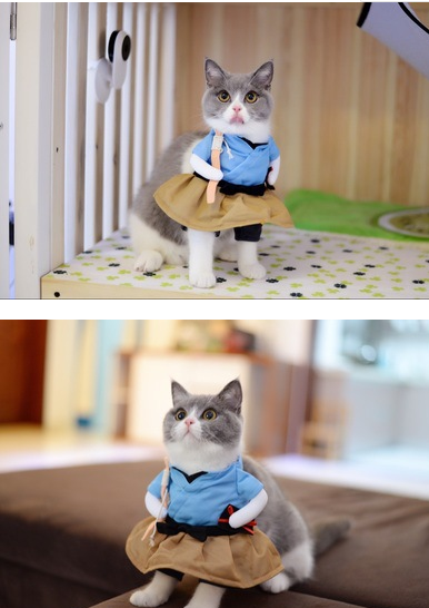 Cat Clothes