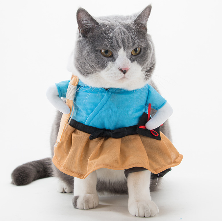 Cat Clothes